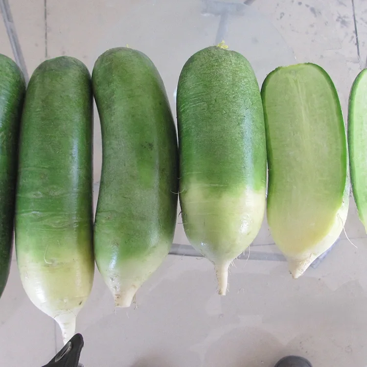மொறுமொறுப்பான பச்சை முள்ளங்கி