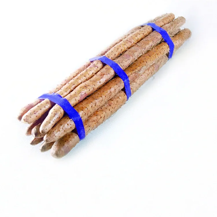 புதிய சீன யாம்