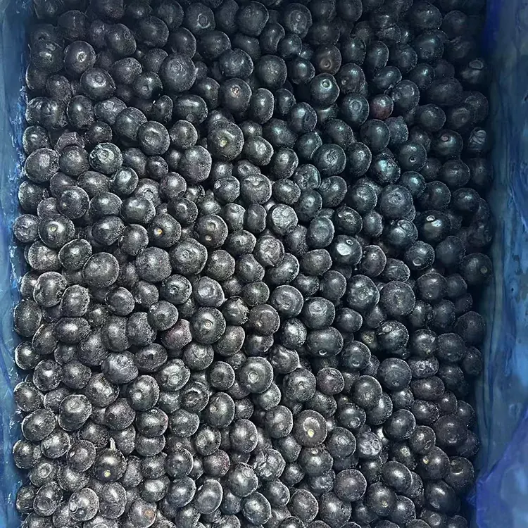 உறைந்த புளுபெர்ரி பிரீமியம் IQF ப்ளூபெர்ரி