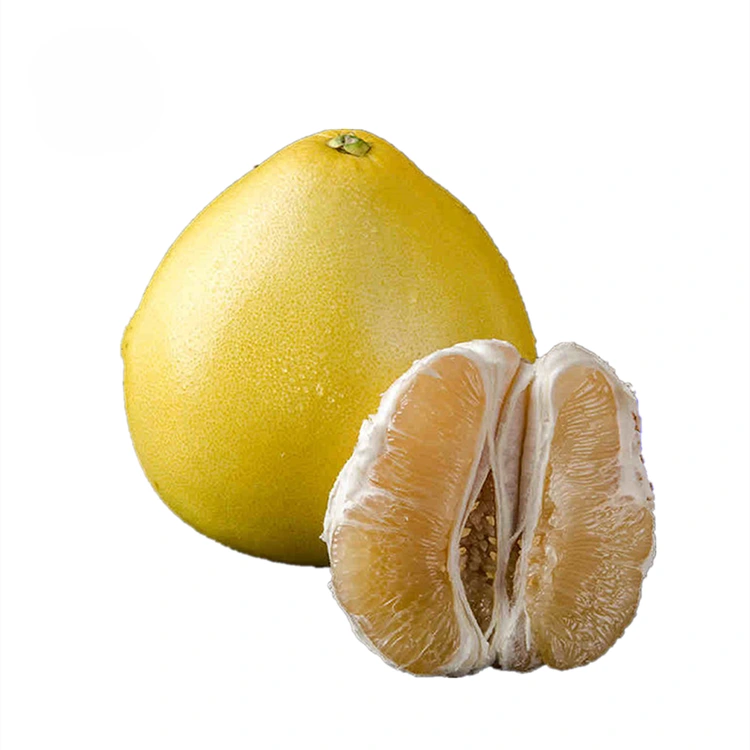 முழு கூழ் வெள்ளை சதை தேன் பொமலோ
