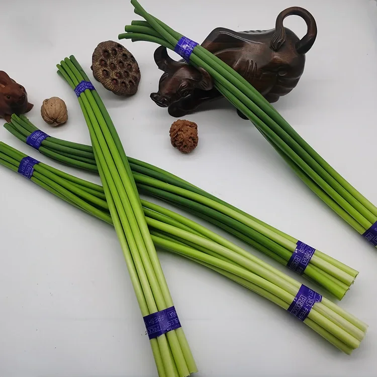 பிரீமியம் புதிய பூண்டு ஸ்கேப்ஸ்