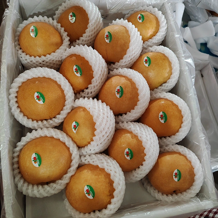 பிரீமியம் ஷிங்கோ பேரிக்காய்