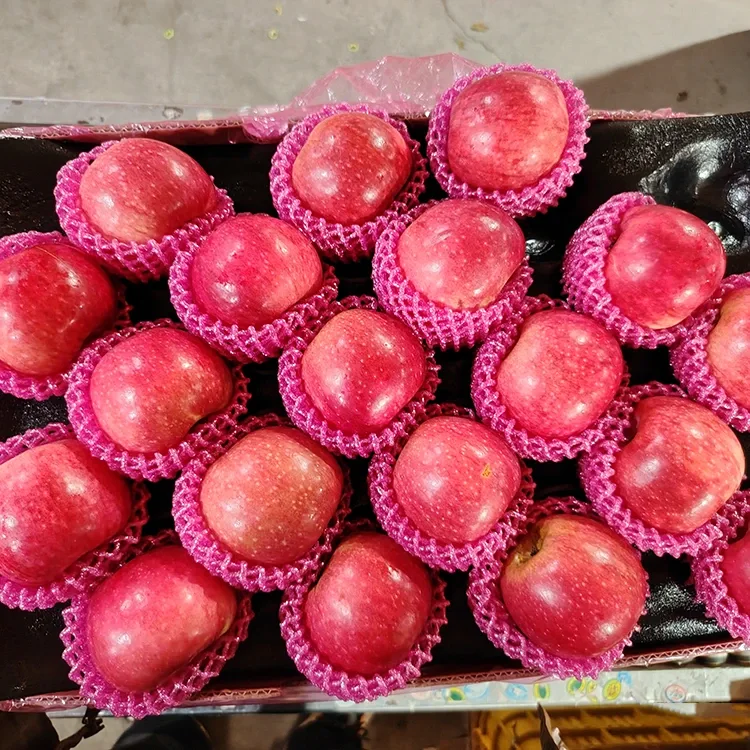 சிறந்த புதிய ஜிகுவான் ஆப்பிள்கள்